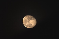 Moon, Mond 600mm, Scopos TL906